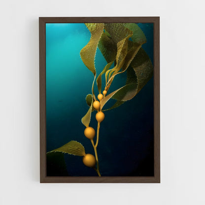 ap-kelp-7 cadre Bois foncé