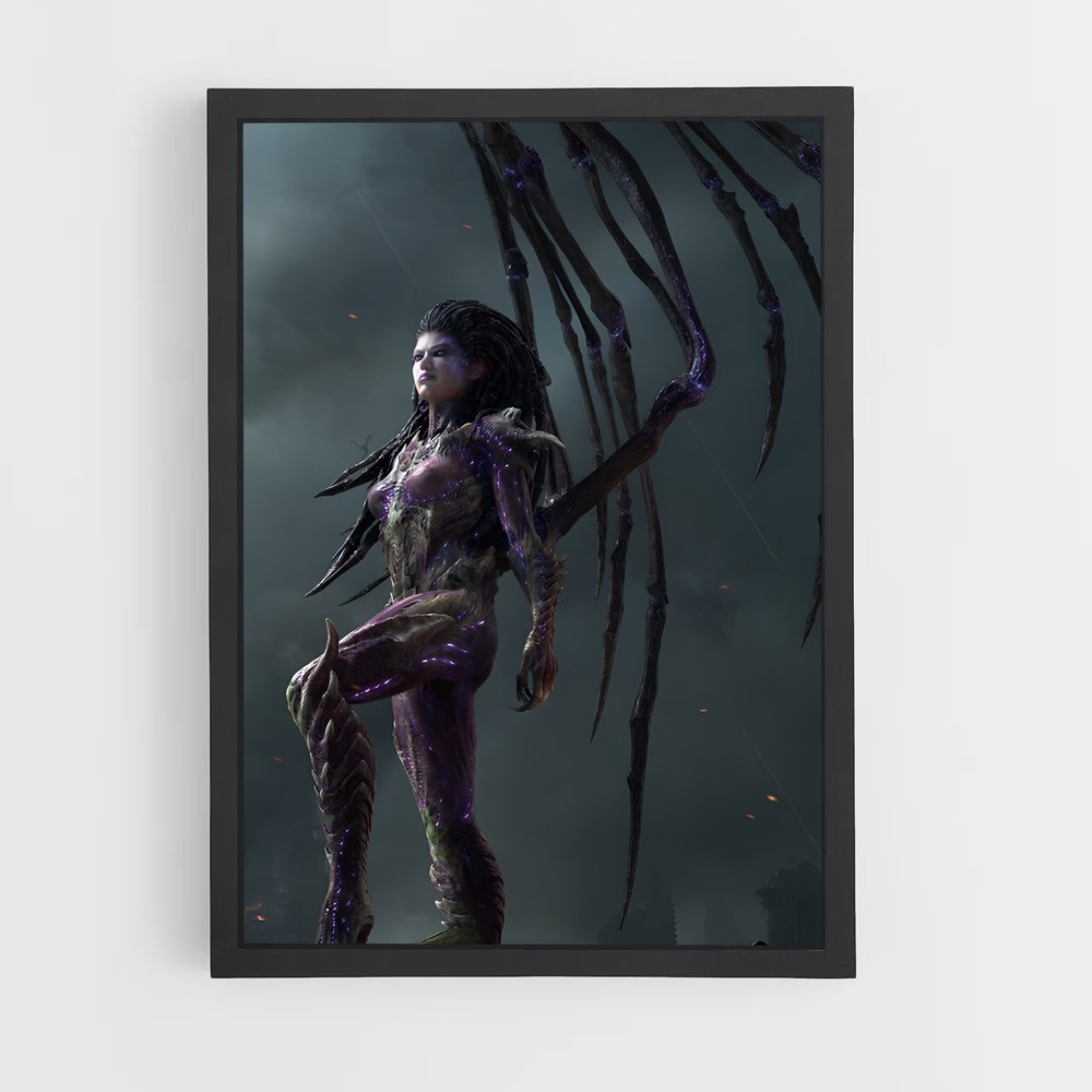 ap-kerrigan-3 cadre Noir