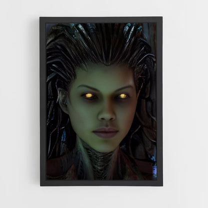 ap-kerrigan-7 cadre Noir