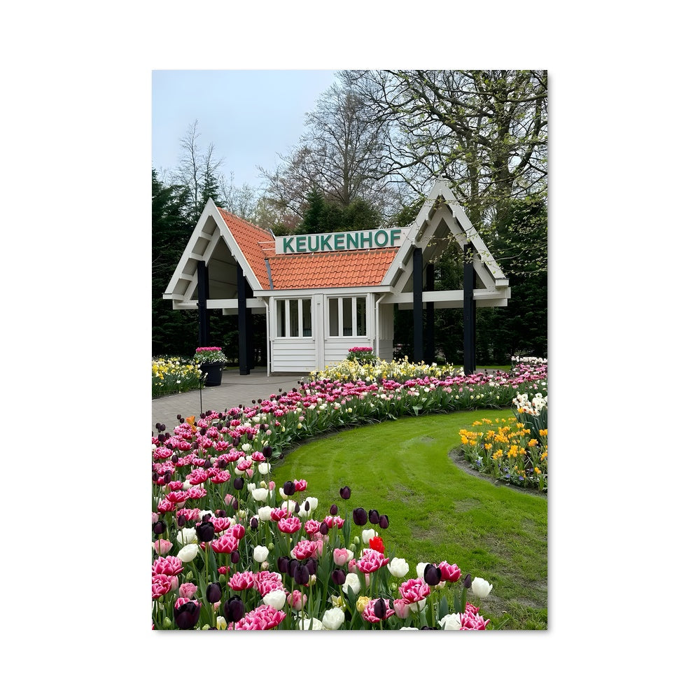 Poster Jardin Éblouissant