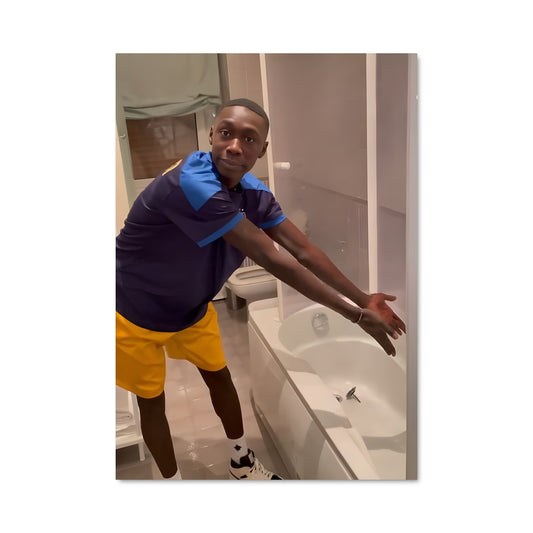 Poster Toile de Toilette