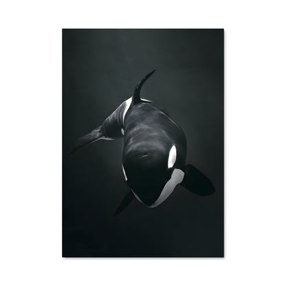 Poster L'Océan Majestueux