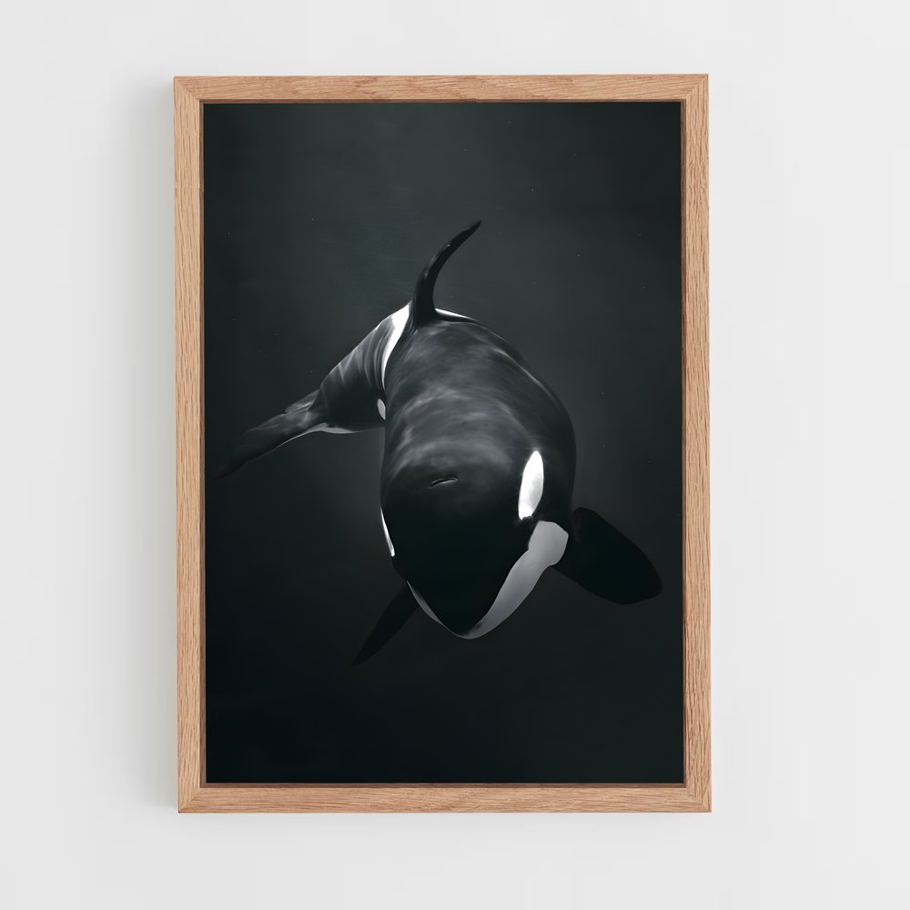 ap-killer whale-2 cadre Bois clair