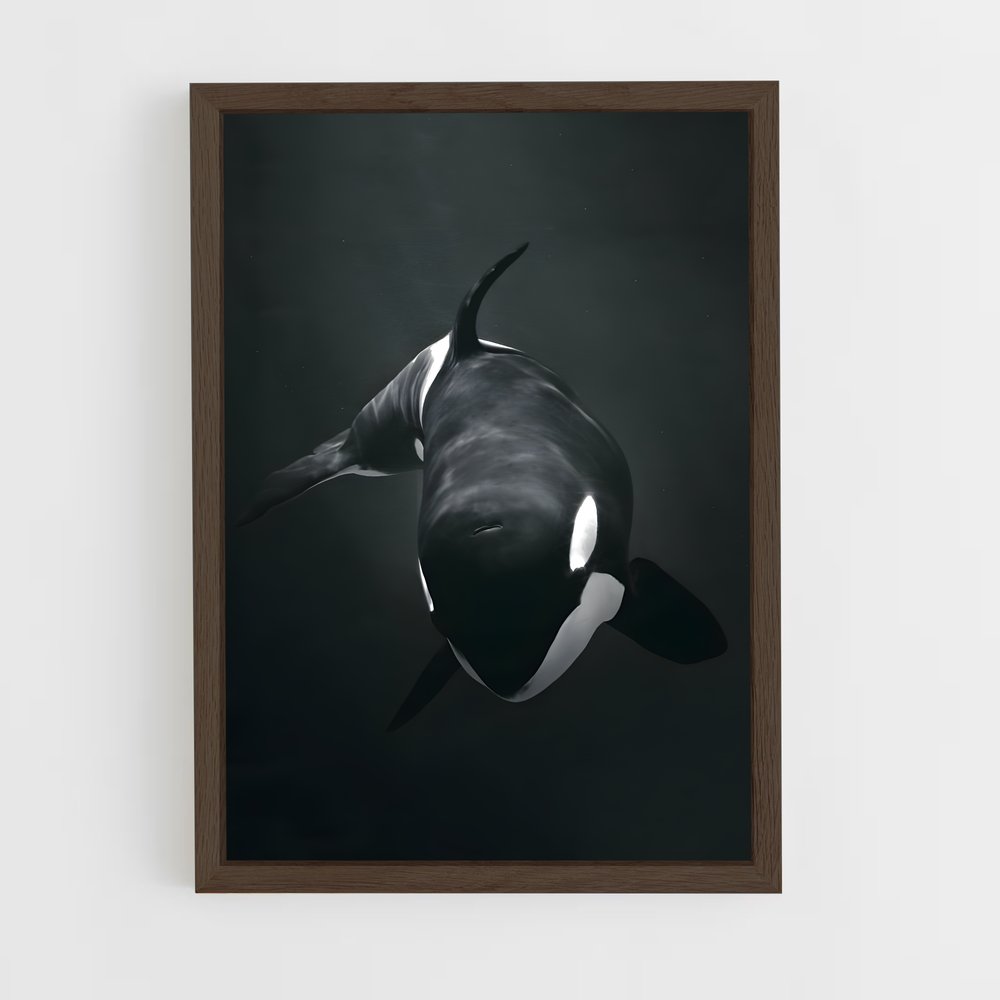 ap-killer whale-2 cadre Bois foncé