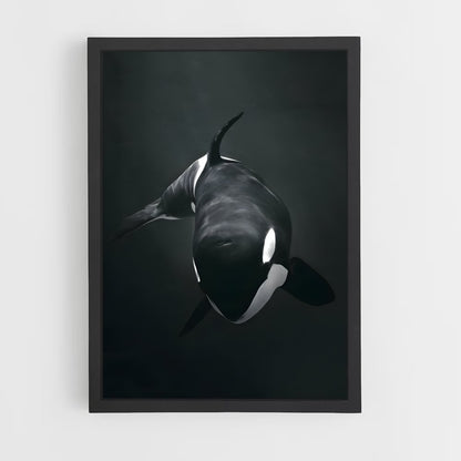ap-killer whale-2 cadre Noir
