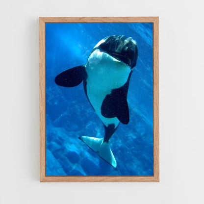 ap-killer whale-6 cadre Bois clair