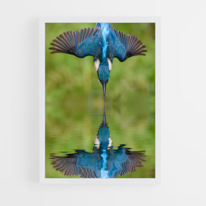 ap-kingfisher-2 cadre Blanc
