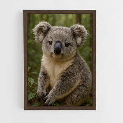ap-koala-2 cadre Bois foncé