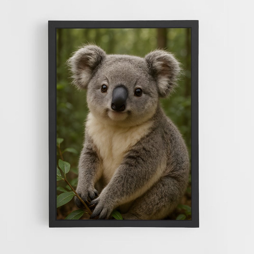 ap-koala-2 cadre Noir
