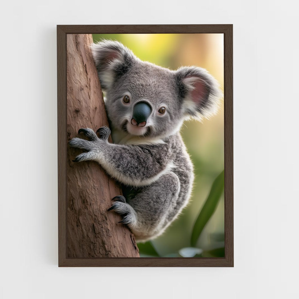 ap-koala-3 cadre Bois foncé