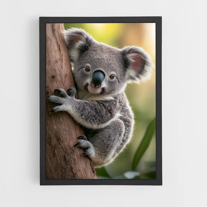ap-koala-3 cadre Noir