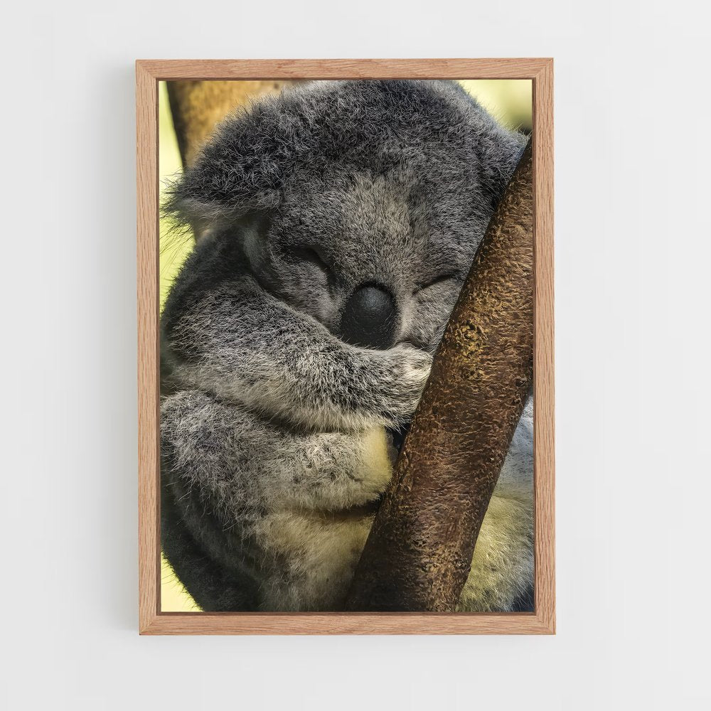 ap-koala-4 cadre Bois clair