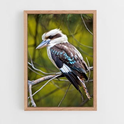 ap-kookaburra-1 cadre Bois clair