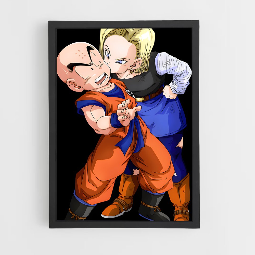 ap-krillin-3 cadre Noir