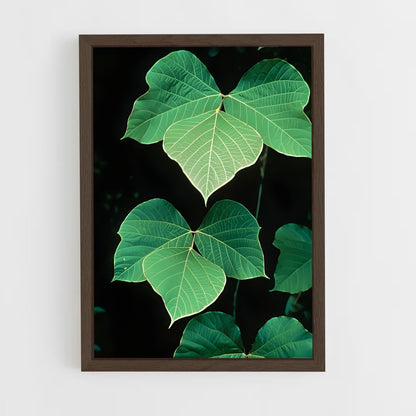 ap-kudzu-4 cadre Bois foncé