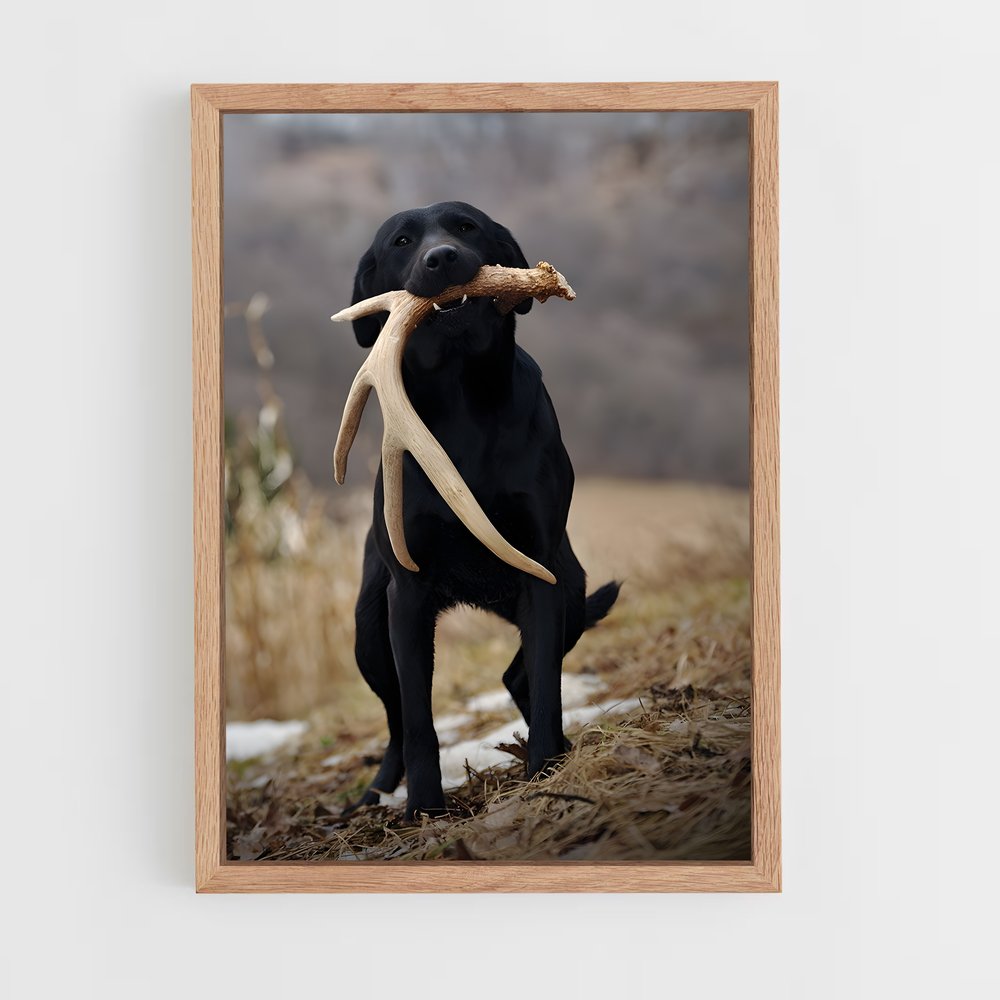 ap-labrador retriever-2 cadre Bois clair