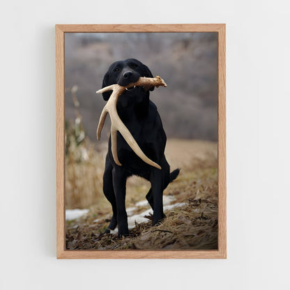 ap-labrador retriever-2 cadre Bois clair