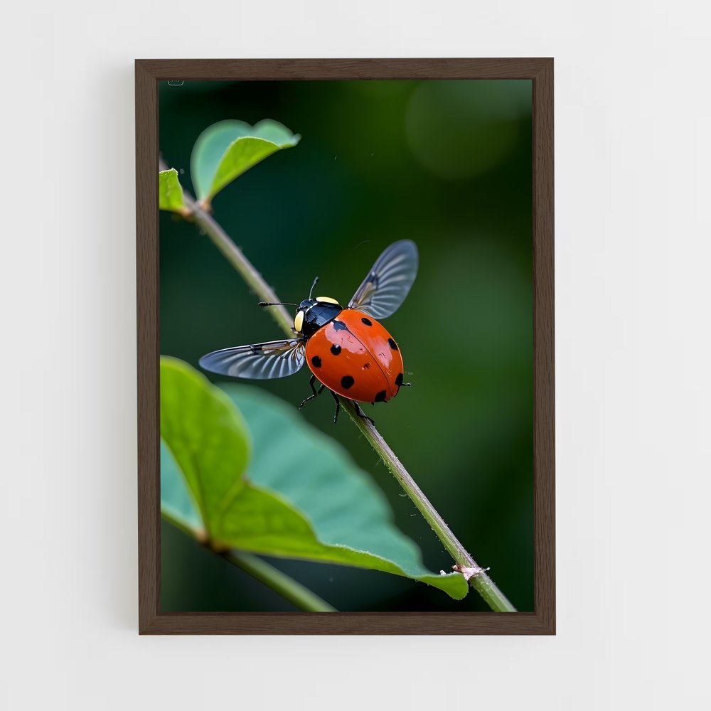 ap-ladybug-11 cadre Bois foncé