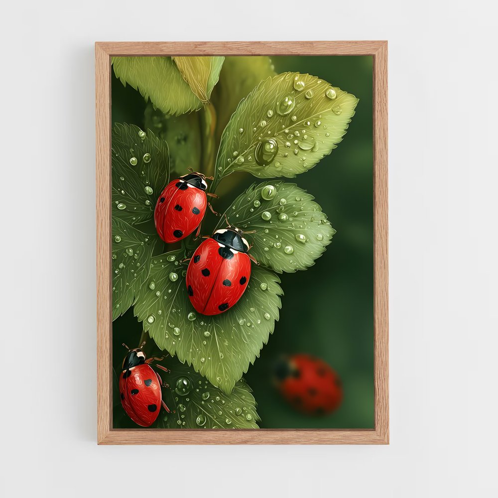 ap-ladybug-2 cadre Bois clair