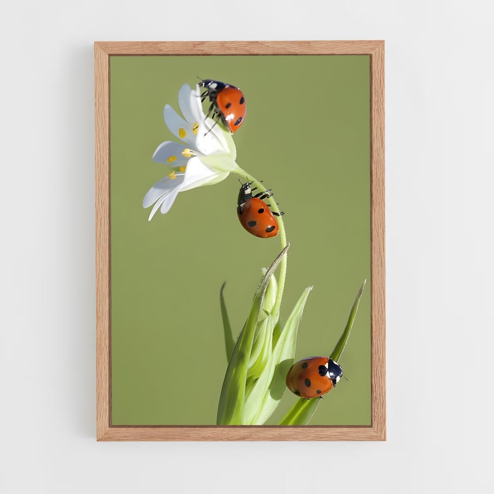 ap-ladybug-3 cadre Bois clair