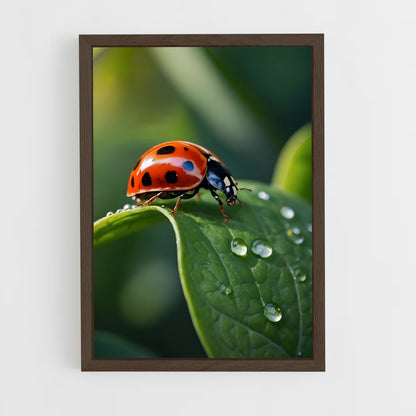 ap-ladybug-5 cadre Bois foncé