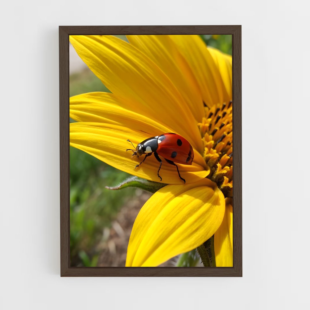 ap-ladybug-7 cadre Bois foncé
