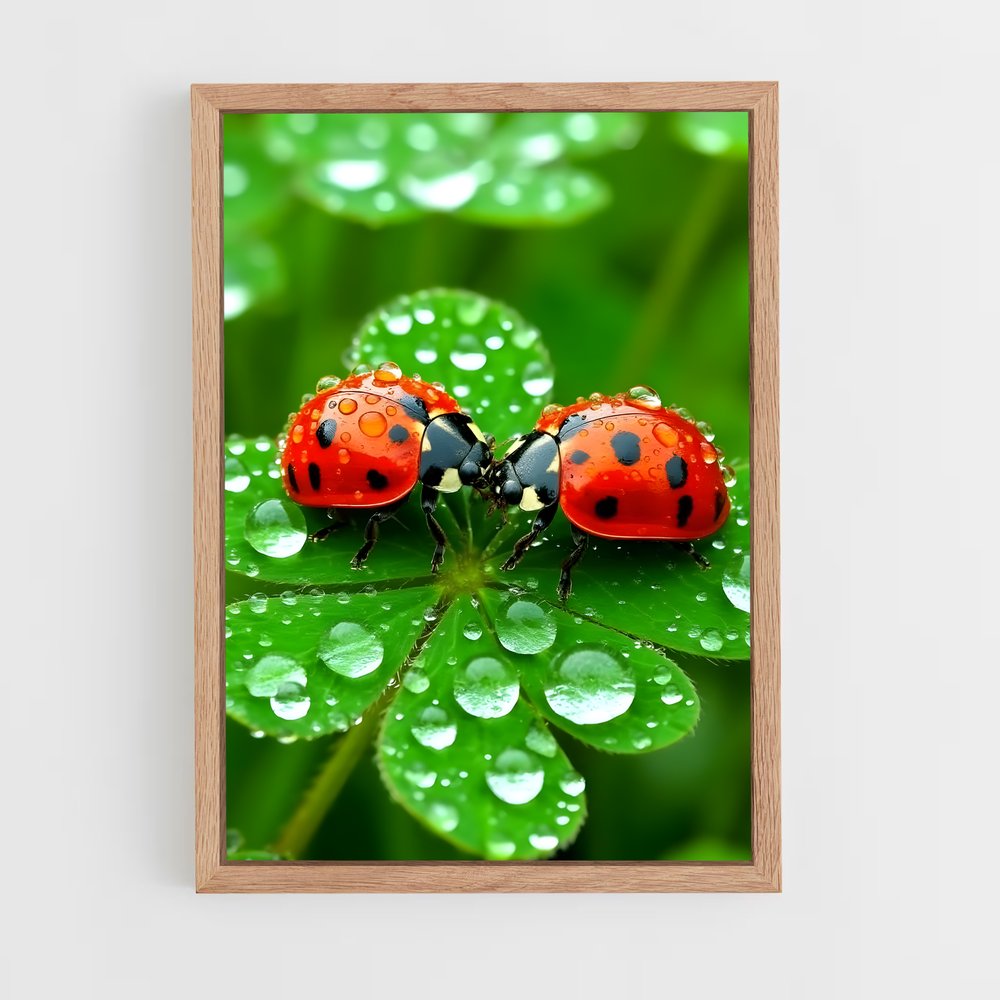 ap-ladybug-8 cadre Bois clair