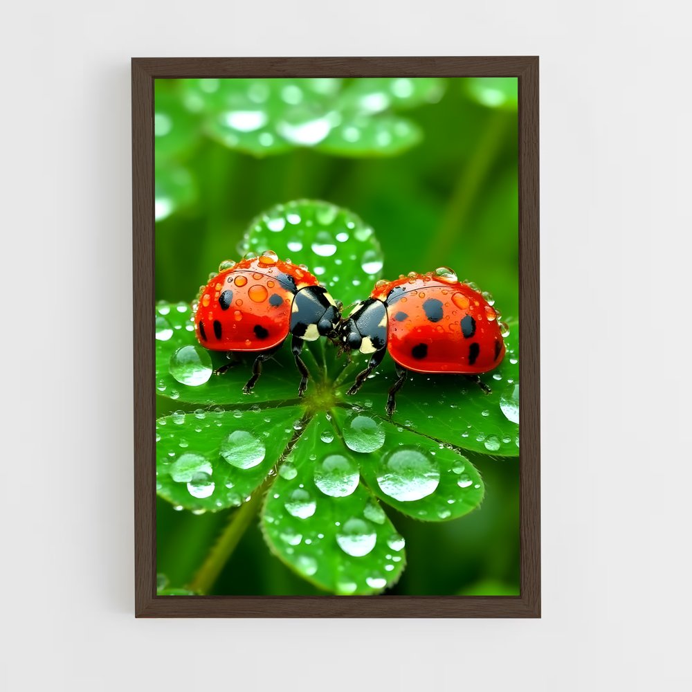 ap-ladybug-8 cadre Bois foncé