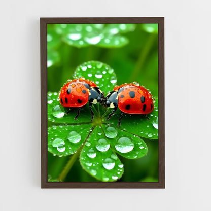 ap-ladybug-8 cadre Bois foncé