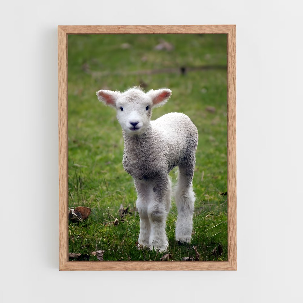 ap-lamb-20 cadre Bois clair