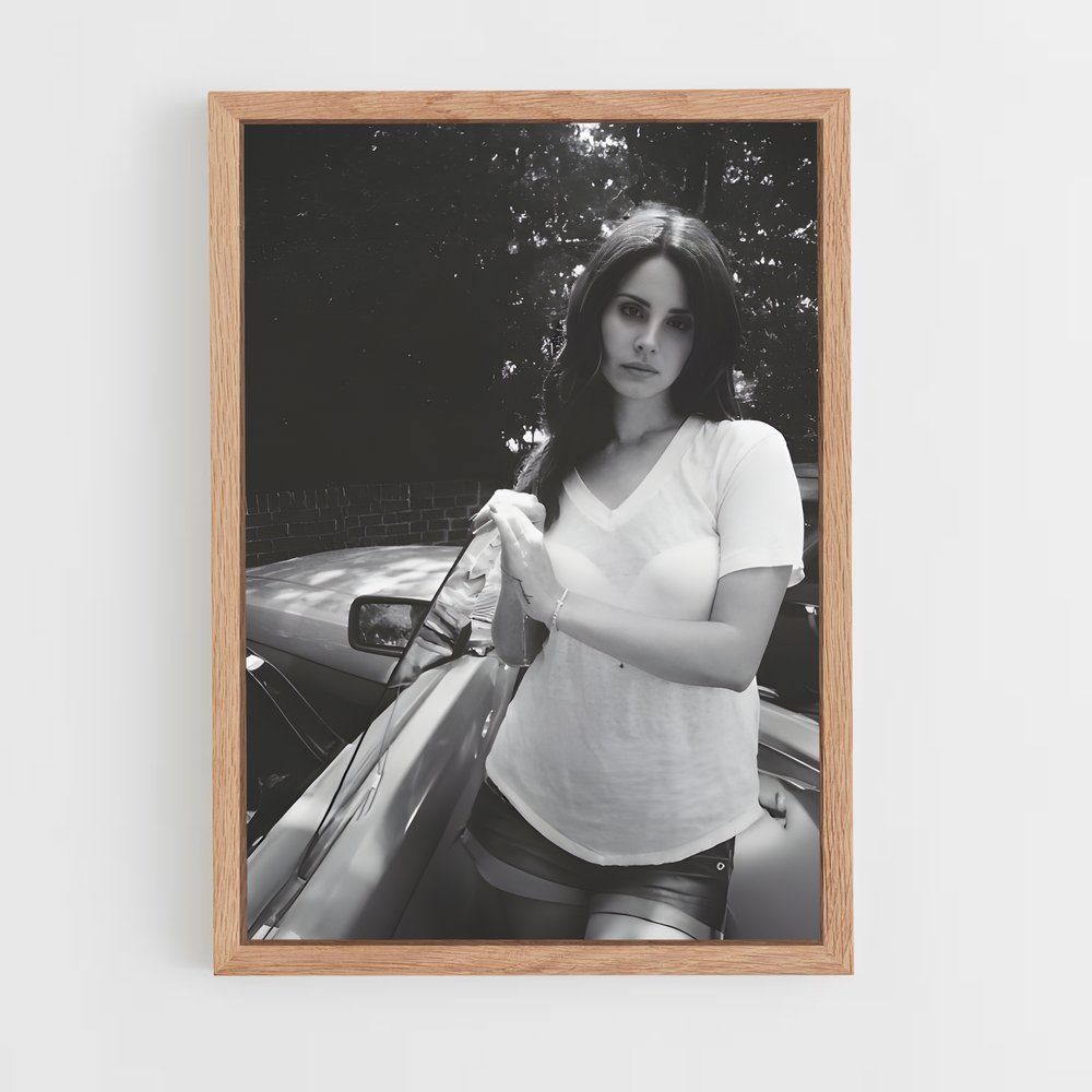ap-lana del rey-4 cadre Bois clair