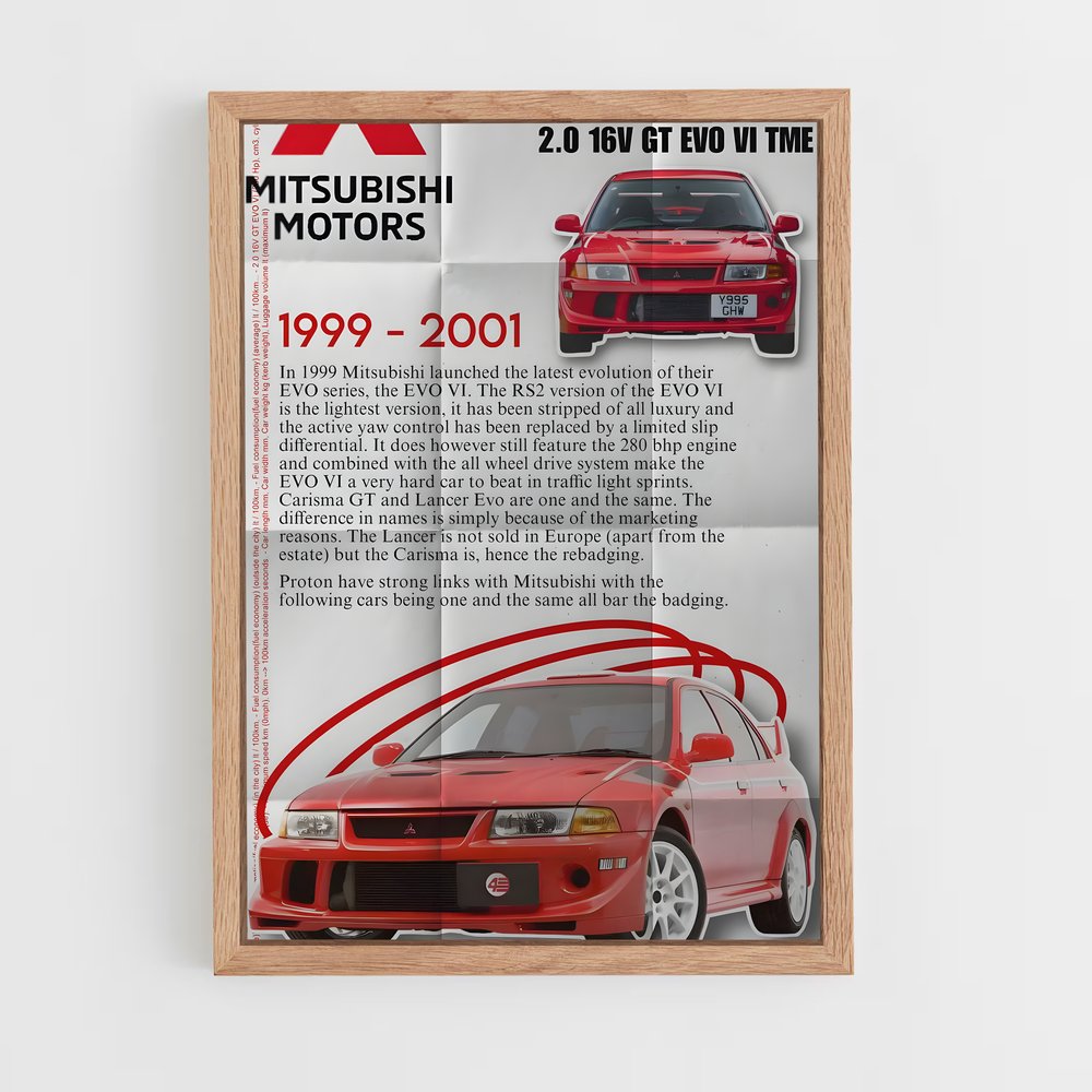 ap-lancer evolution vi tme-1 cadre Bois clair