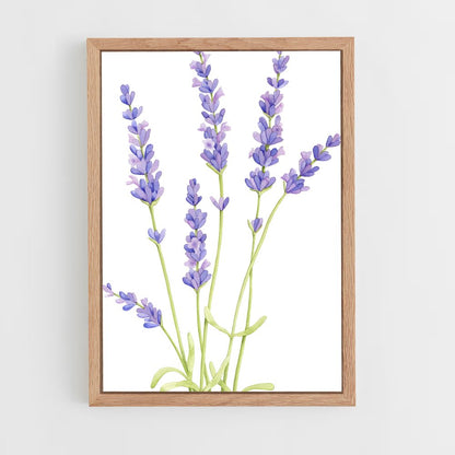 ap-lavender-7 cadre Bois clair