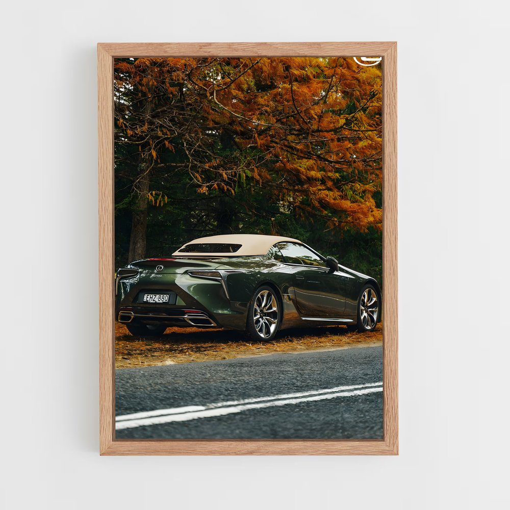 ap-lc 500 convertible-2 cadre Bois clair