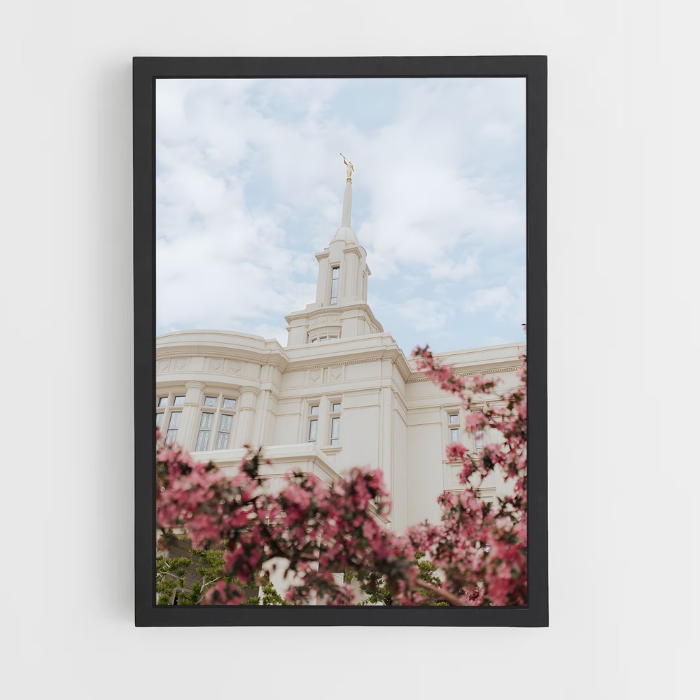 ap-lds temple-12 cadre Noir