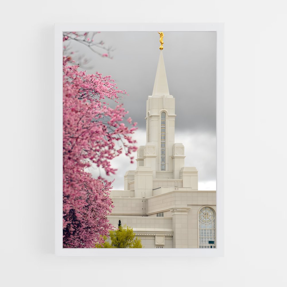 ap-lds temple-5 cadre Blanc