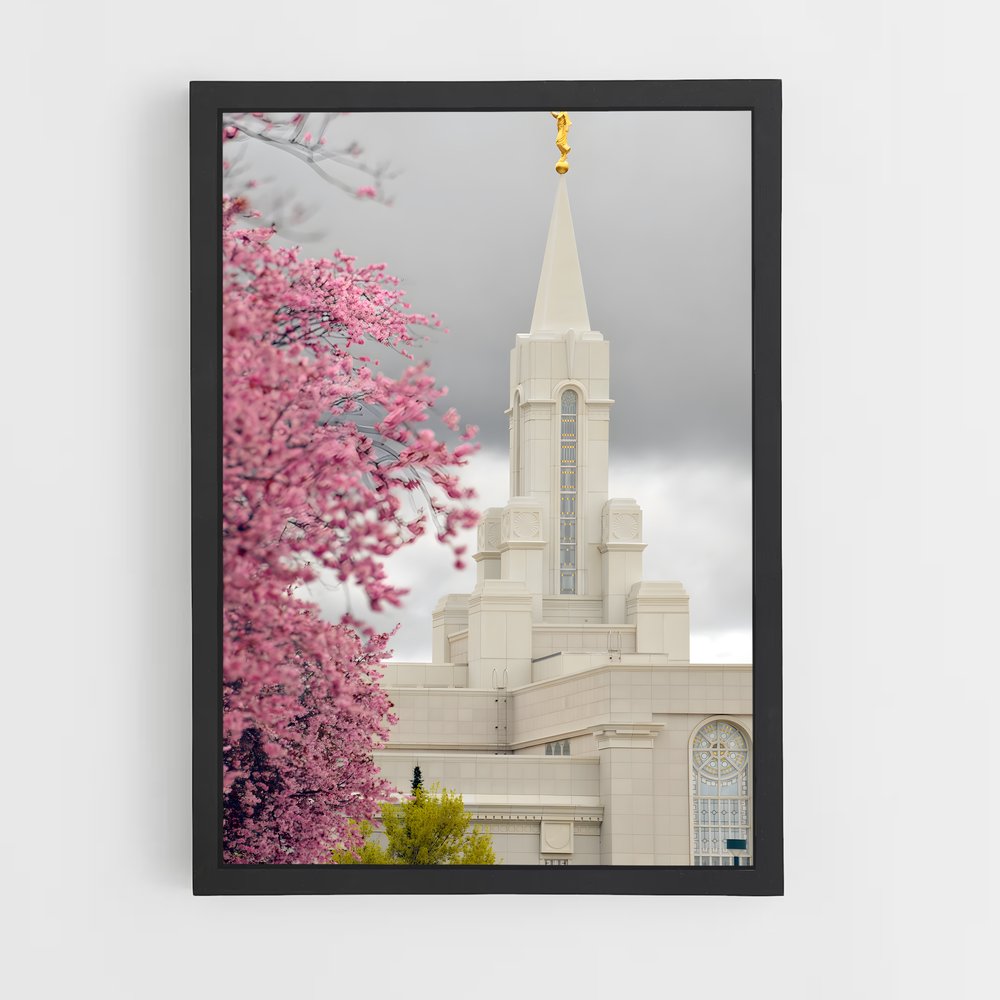 ap-lds temple-5 cadre Noir