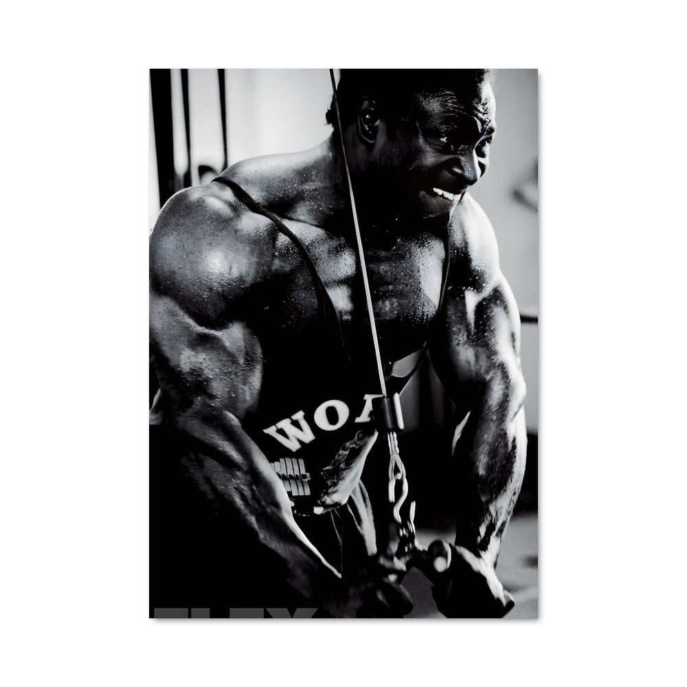 Poster Flexx Power