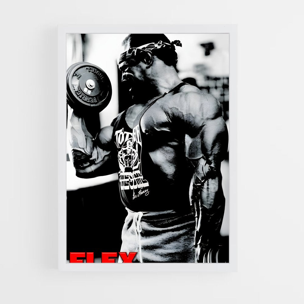 ap-lee haney-4 cadre Blanc