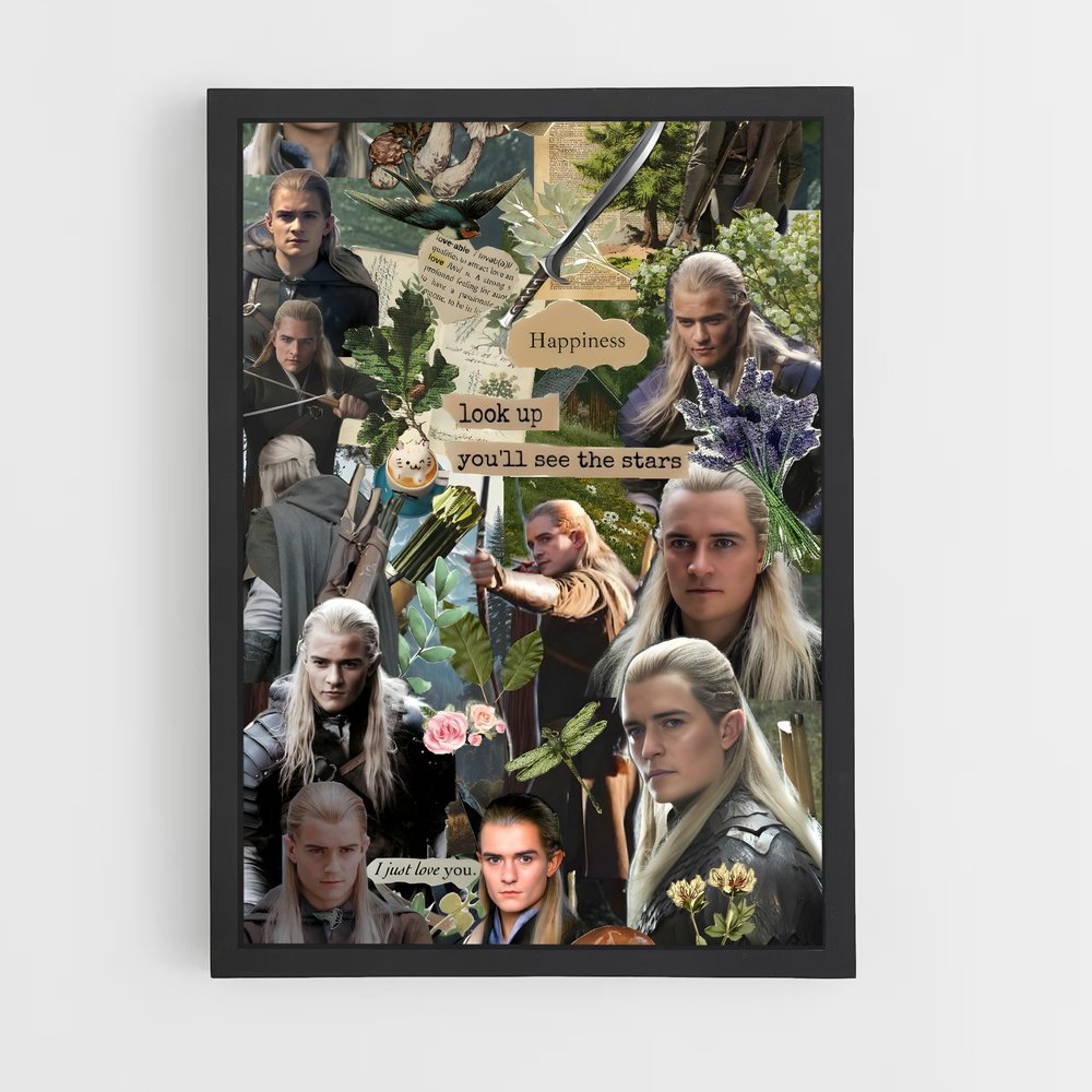 ap-legolas-8 cadre Noir
