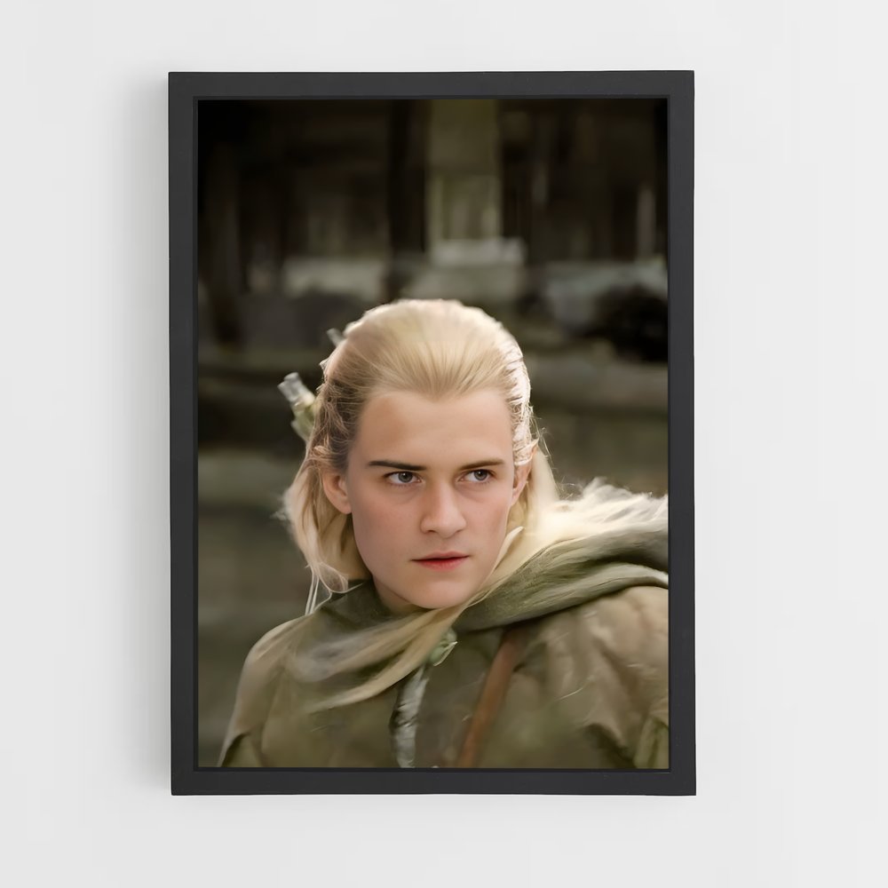 ap-legolas-9 cadre Noir
