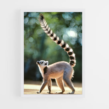 ap-lemur-2 cadre Blanc