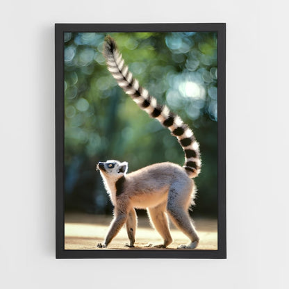 ap-lemur-2 cadre Noir