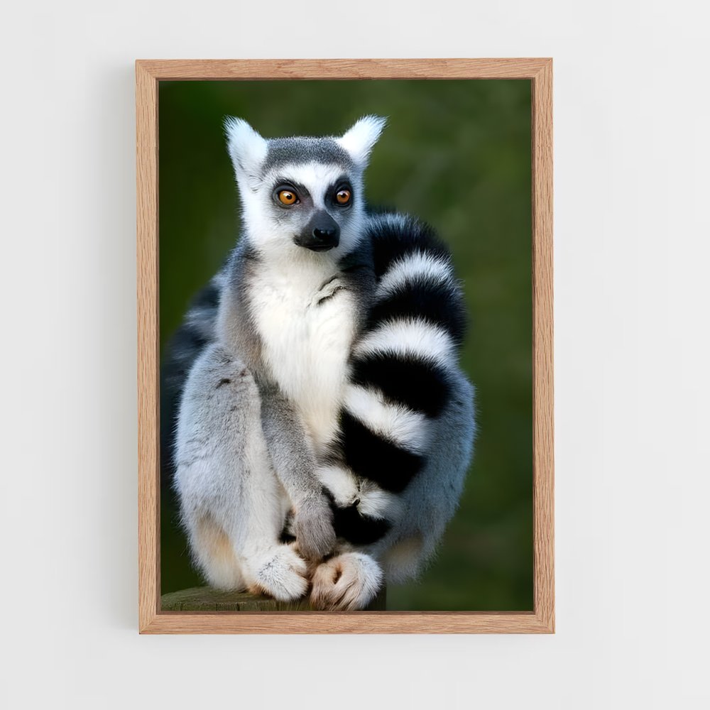 ap-lemur-4 cadre Bois clair