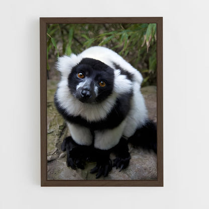 ap-lemur-5 cadre Bois foncé