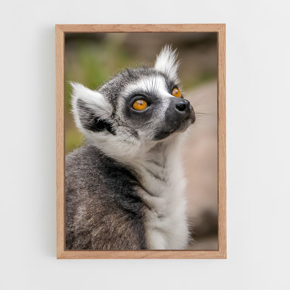 ap-lemur-7 cadre Bois clair