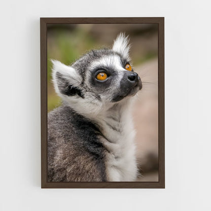 ap-lemur-7 cadre Bois foncé