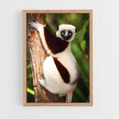 ap-lemur-9 cadre Bois clair