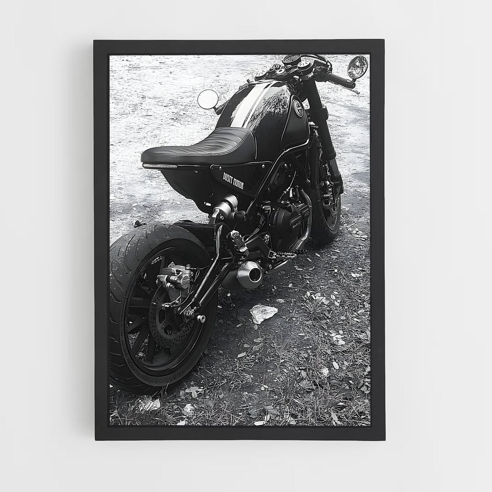 ap-leoncino 500-2 cadre Noir