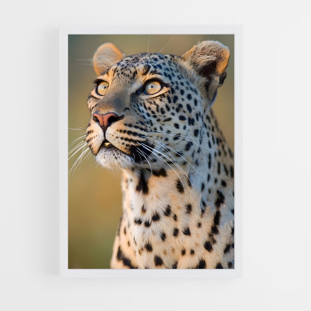 ap-leopard-3 cadre Blanc